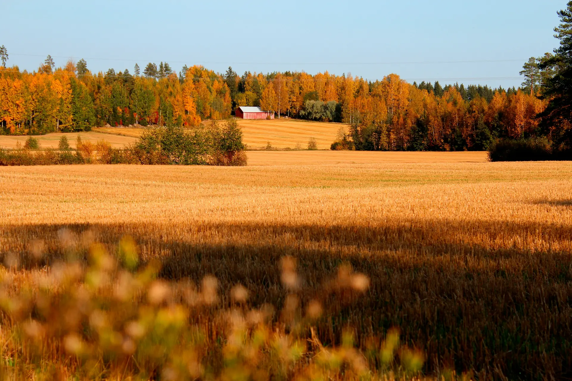 Tervetuloa Polleen: hevostuotteiden markkinapaikka